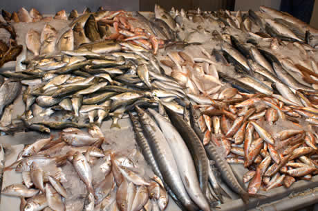 Fish market in antalya photo
