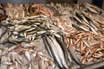 Fish Market In Antalya