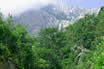Mountain Forest Landscape In Kemer Antalya